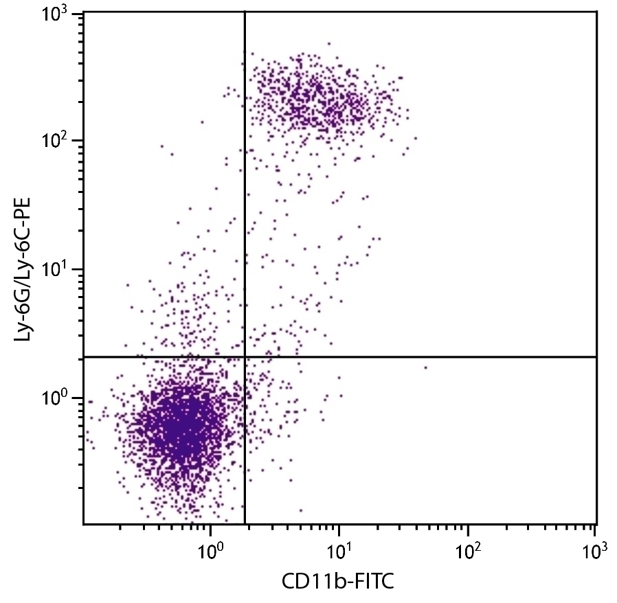 CD11b Antibody [3A33] (FITC)
