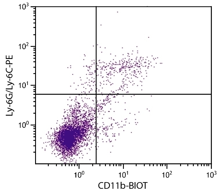 CD11b Antibody [3A33] (Biotin)