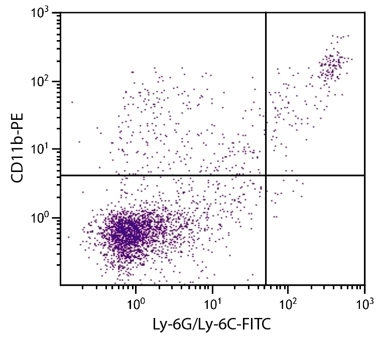 CD11b Antibody [3A33] (PE)