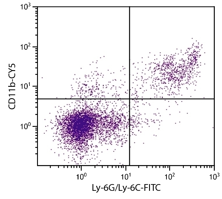 CD11b Antibody [3A33] (Cy5)