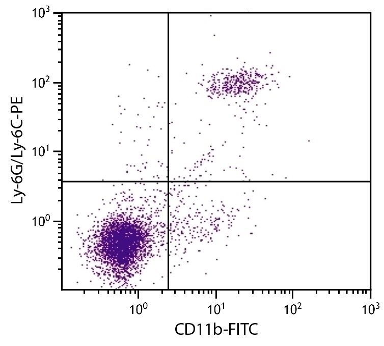 CD11b Antibody [M1/70] (FITC)