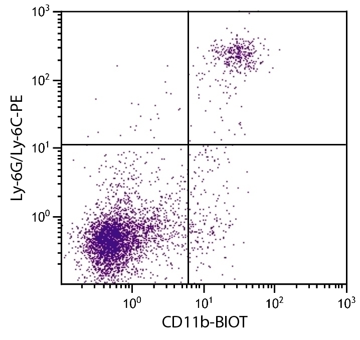 CD11b Antibody [M1/70] (Biotin)