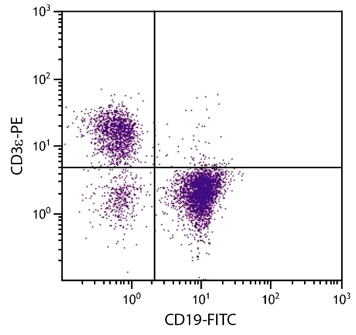 CD19 Antibody [6D5] (FITC)
