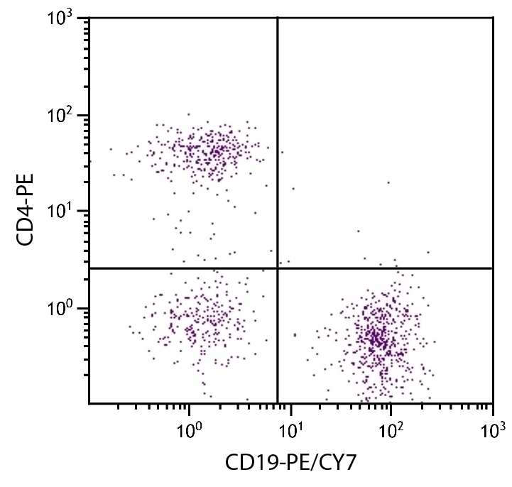 CD19 Antibody [6D5] (PE-Cy7)