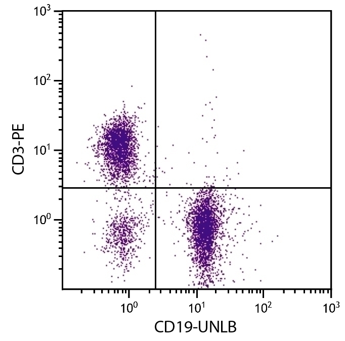 CD19 Antibody [MB19-1]
