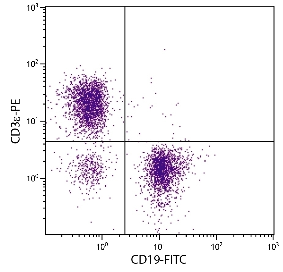 CD19 Antibody [MB19-1] (FITC)