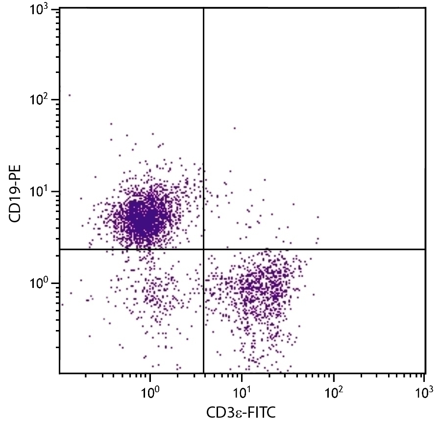 CD19 Antibody [MB19-1] (PE)