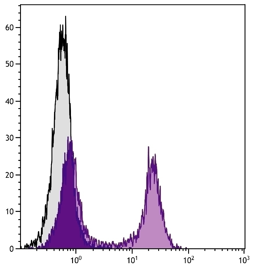 CD22 Antibody [2D6] (FITC)
