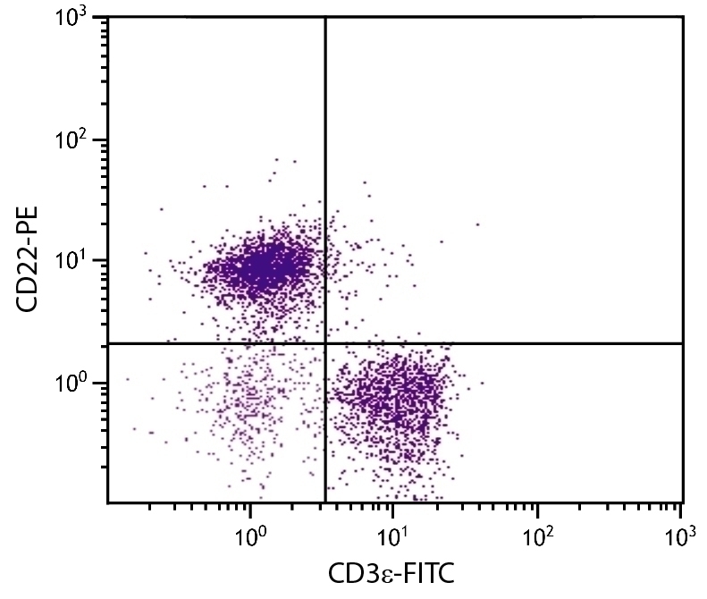 CD22 Antibody [2D6] (PE)