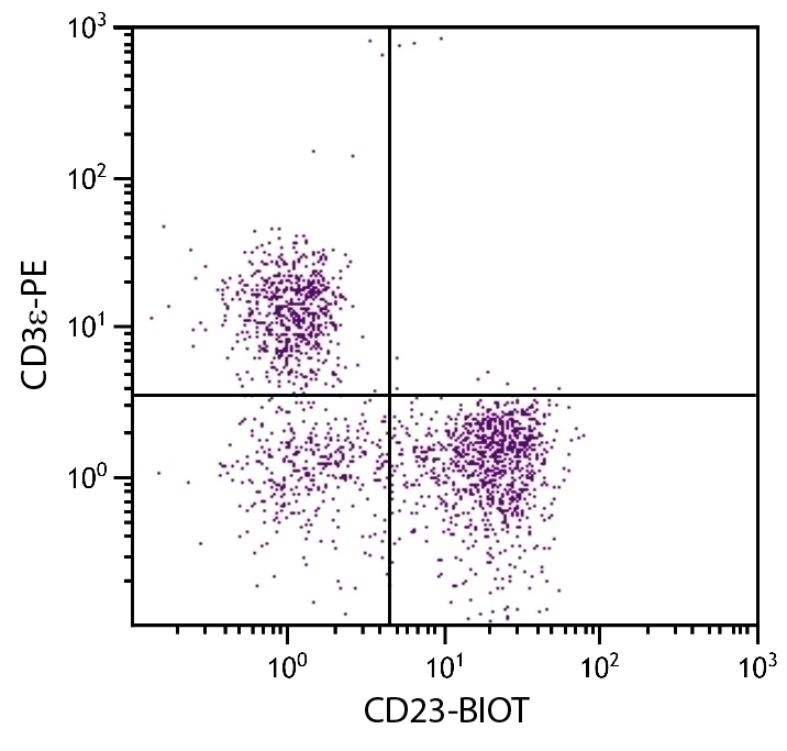 CD23 Antibody [2G8] (Biotin)
