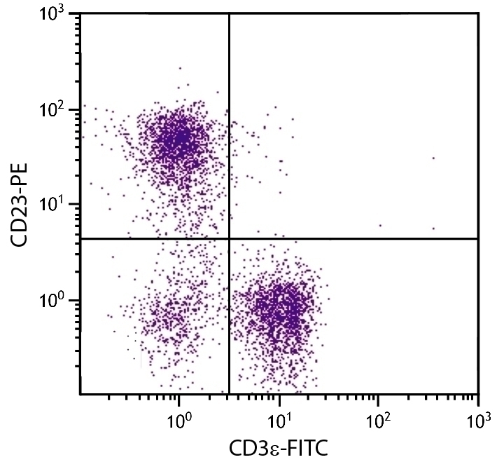 CD23 Antibody [2G8] (PE)
