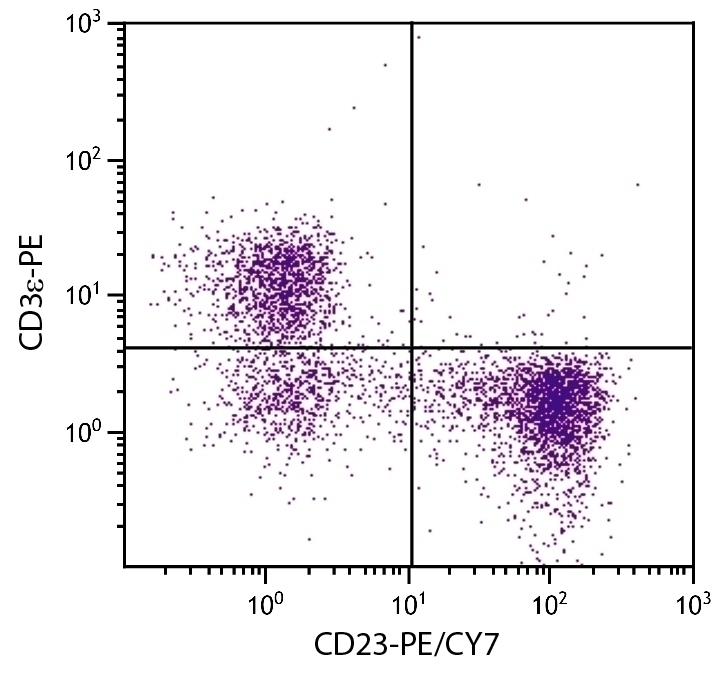 CD23 Antibody [2G8] (PE-Cy7)