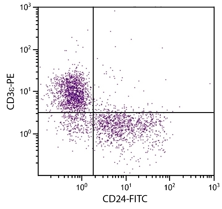 CD24 Antibody [91] (FITC)