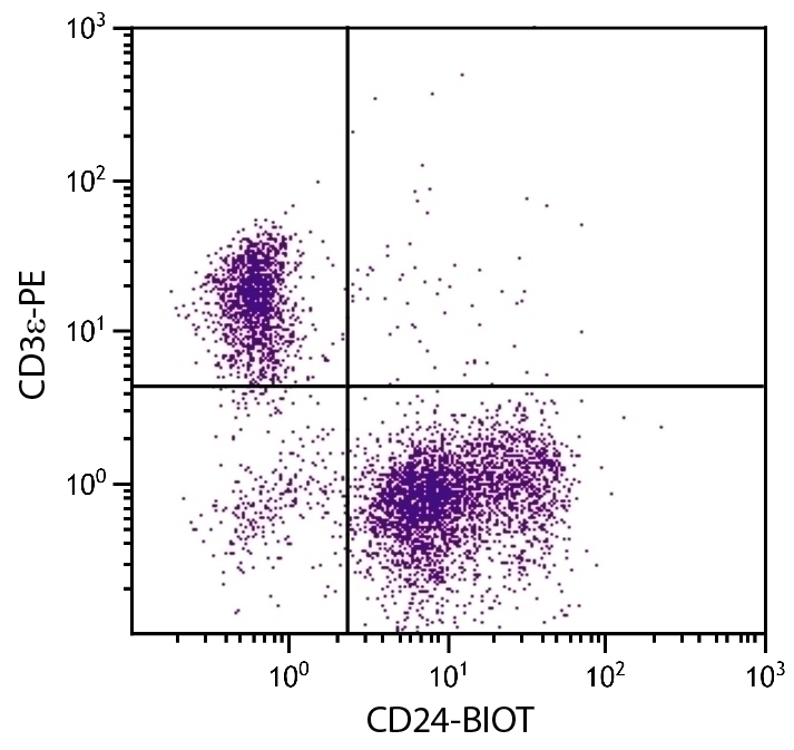 CD24 Antibody [91] (Biotin)