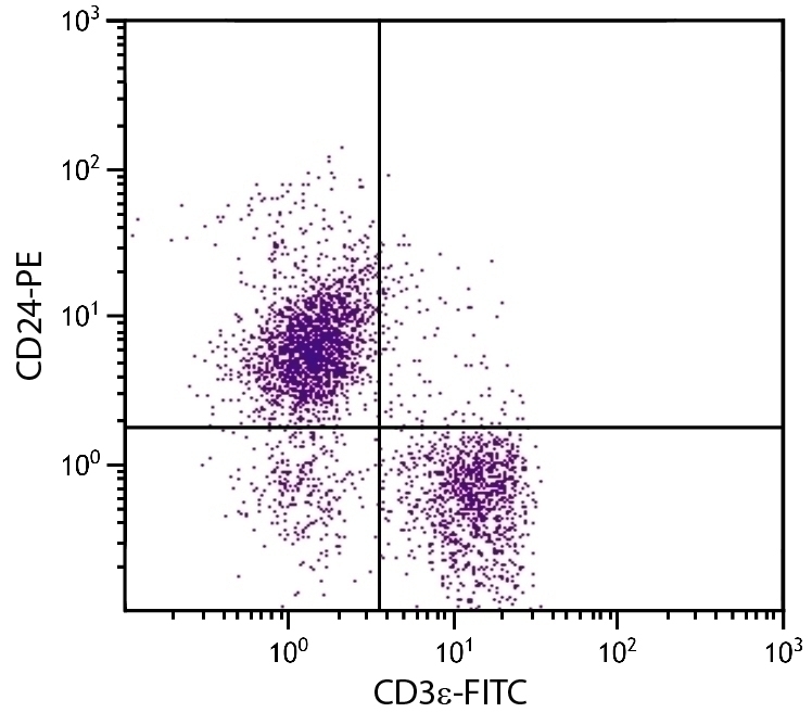 CD24 Antibody [91] (PE)