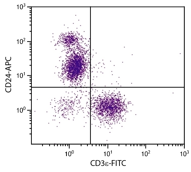 CD24 Antibody [91] (APC)