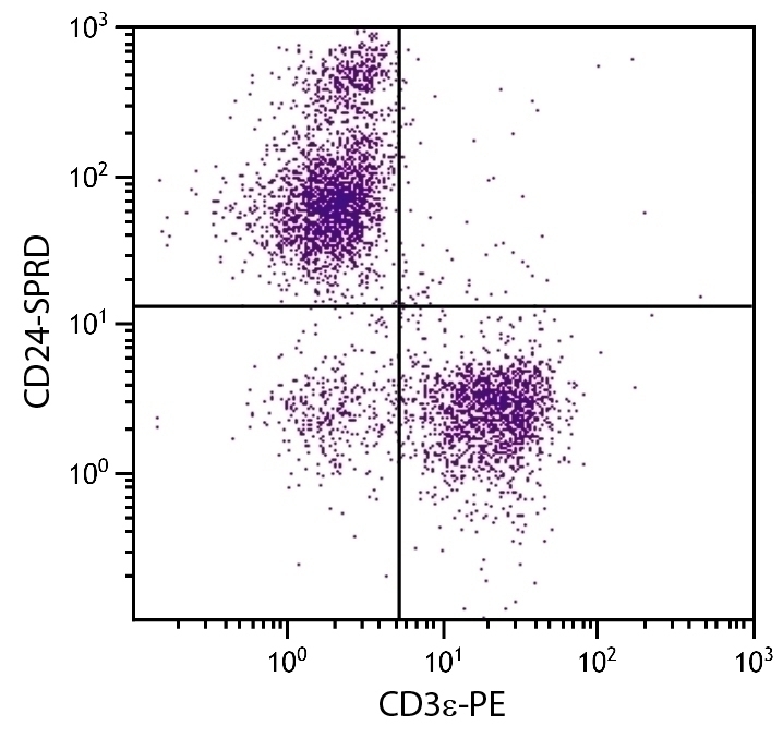 CD24 Antibody [91] (PE-Cy5)