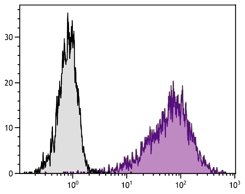 CD25 Antibody [7D4] (PE)