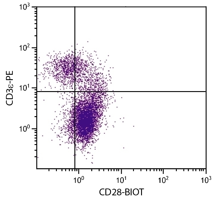 CD28 Antibody [37.51] (Biotin)