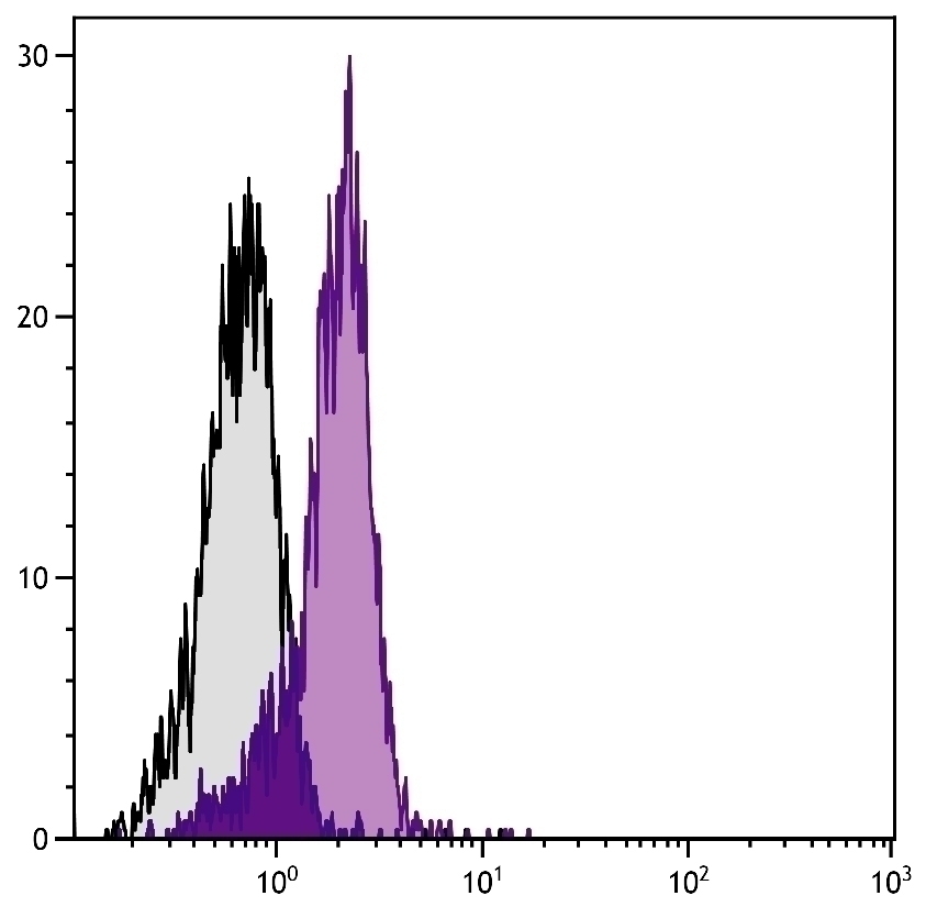 CD31 Antibody [390] (FITC)