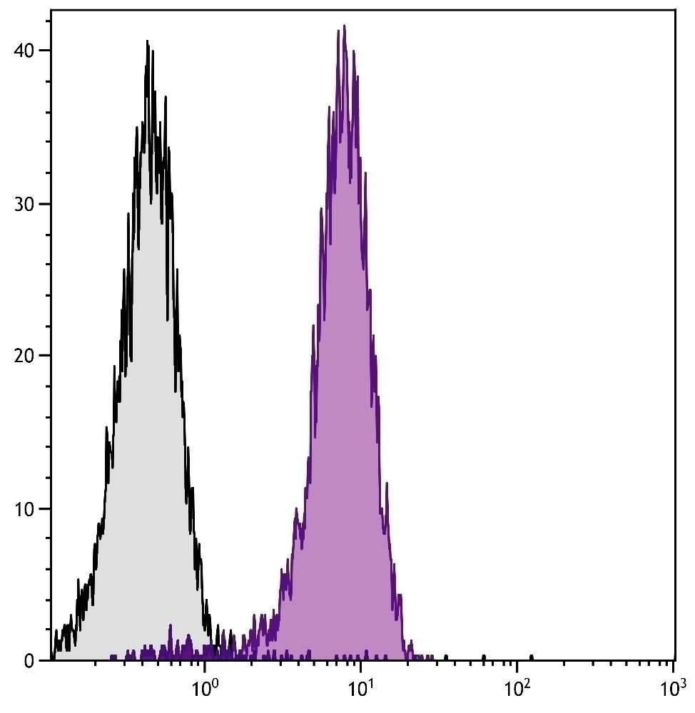 CD31 Antibody [390] (PE)