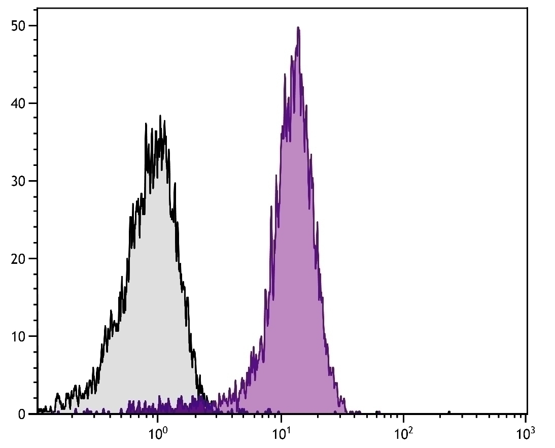CD31 Antibody [390] (PE-Cy7)