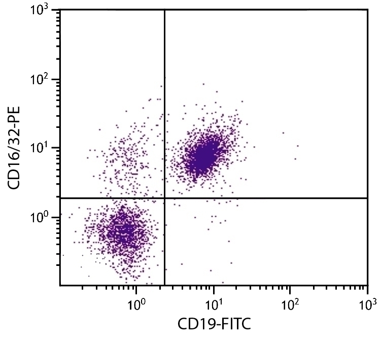 CD16/32 Antibody [93] (PE)