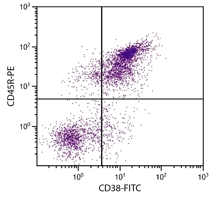 CD38 Antibody [NIMR-5] (FITC)