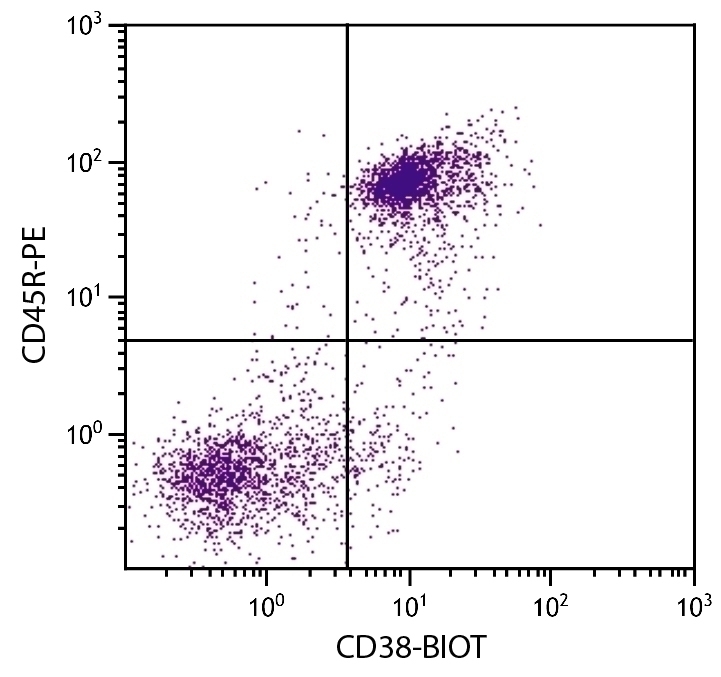CD38 Antibody [NIMR-5] (Biotin)