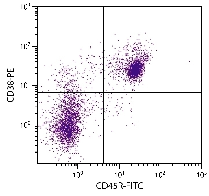 CD38 Antibody [NIMR-5] (PE)