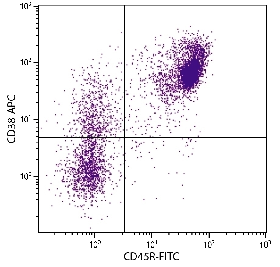 CD38 Antibody [NIMR-5] (APC)