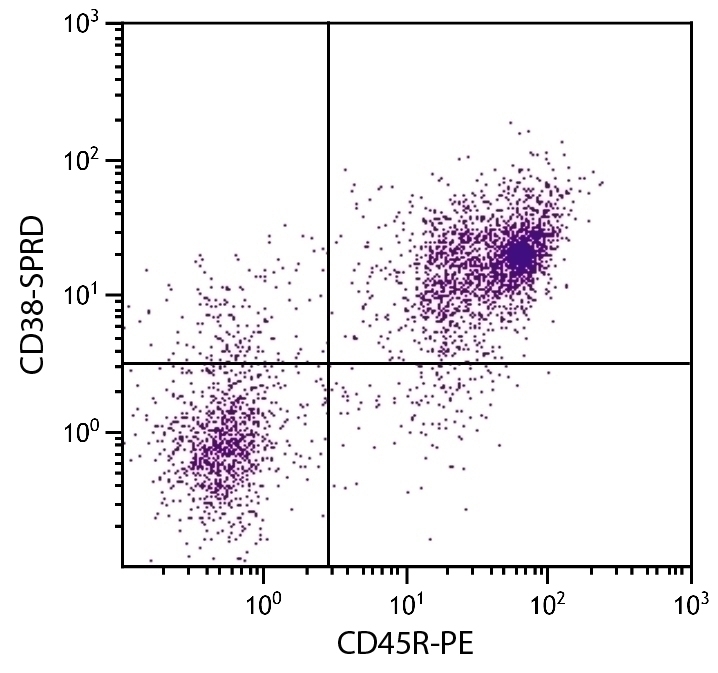 CD38 Antibody [NIMR-5] (PE-Cy5)
