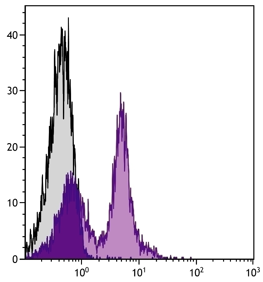 CD38 Antibody [90] (FITC)