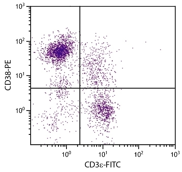 CD38 Antibody [90] (PE)