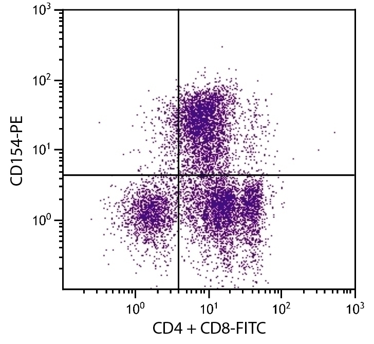 CD154 Antibody [MR1] (PE)