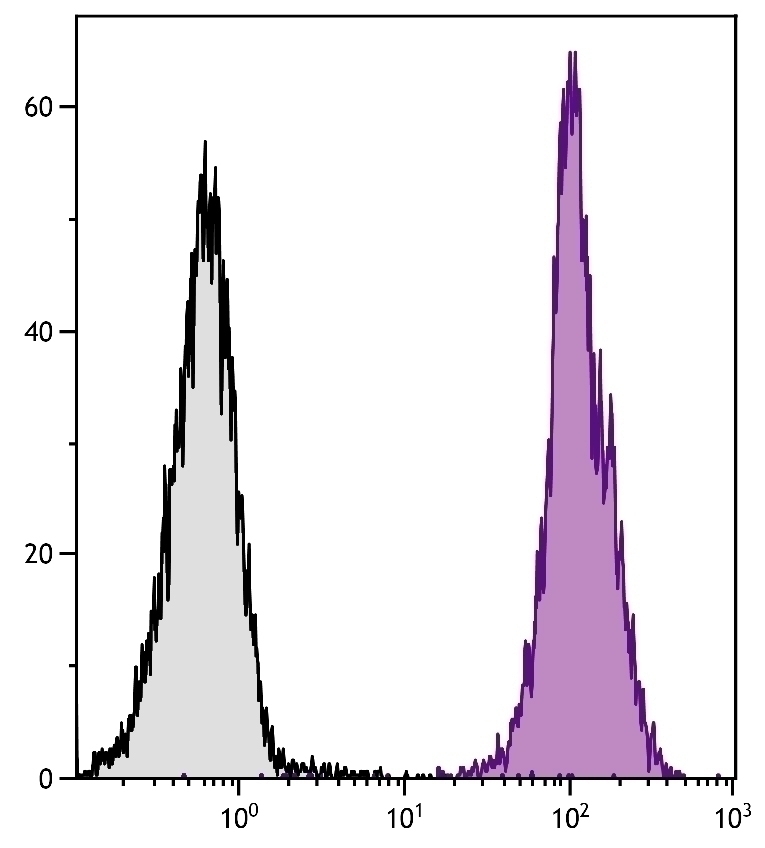 CD45 Antibody [I3/2.3]