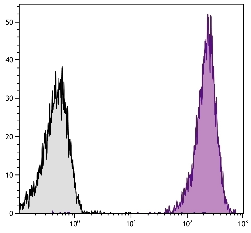 CD45 Antibody [I3/2.3] (PE)