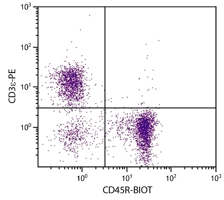 CD45R Antibody [RA3-6B2] (Biotin)