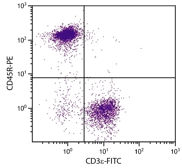 CD45R Antibody [RA3-6B2] (PE)