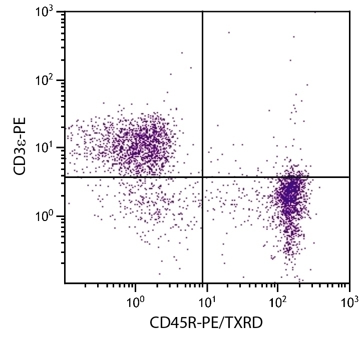 CD45R Antibody [RA3-6B2] (PE-Texas Red)