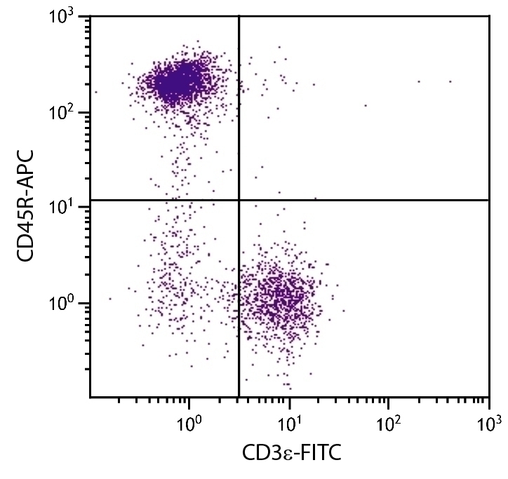 CD45R Antibody [RA3-6B2] (APC)