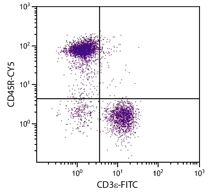 CD45R Antibody [RA3-6B2] (Cy5)
