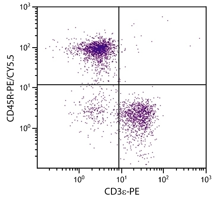 CD45R Antibody [RA3-6B2] (PE-Cy5.5)