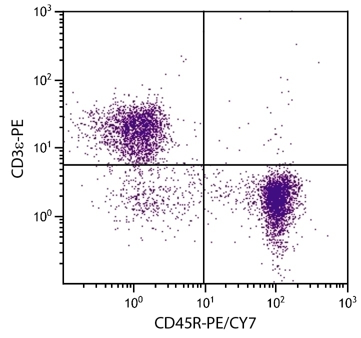 CD45R Antibody [RA3-6B2] (PE-Cy7)