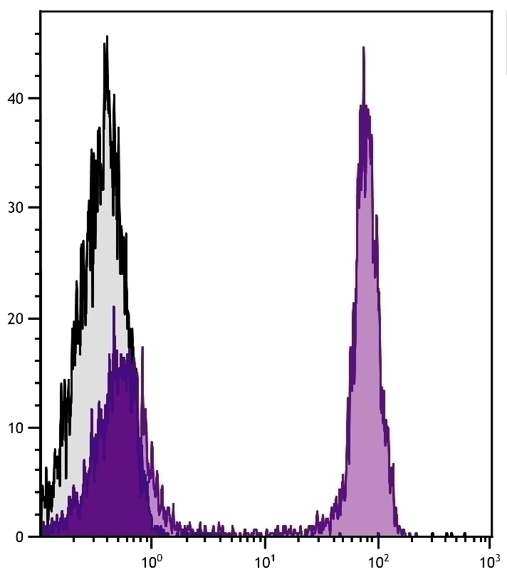 CD45R Antibody [RA3-6B2] (APC-Cy7)