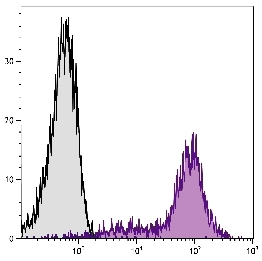 CD45RB Antibody [C363.16A] (PE)