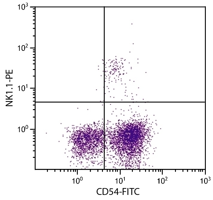CD54 Antibody [YN1/1.7.4] (FITC)