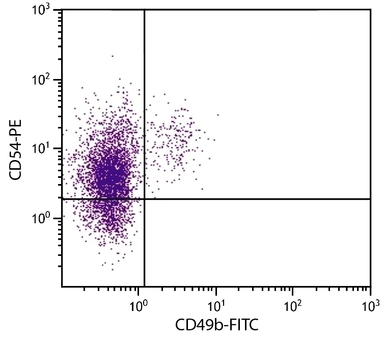 CD54 Antibody [YN1/1.7.4] (PE)