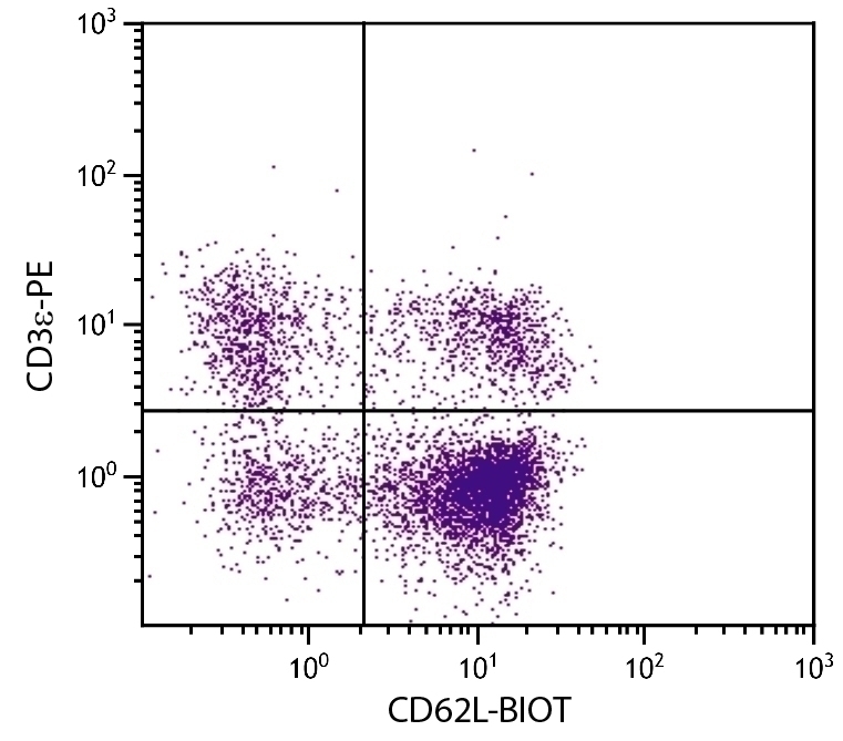 CD62L Antibody [MEL-14] (Biotin)