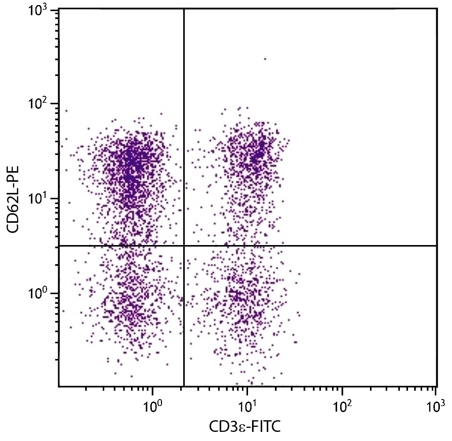 CD62L Antibody [MEL-14] (PE)